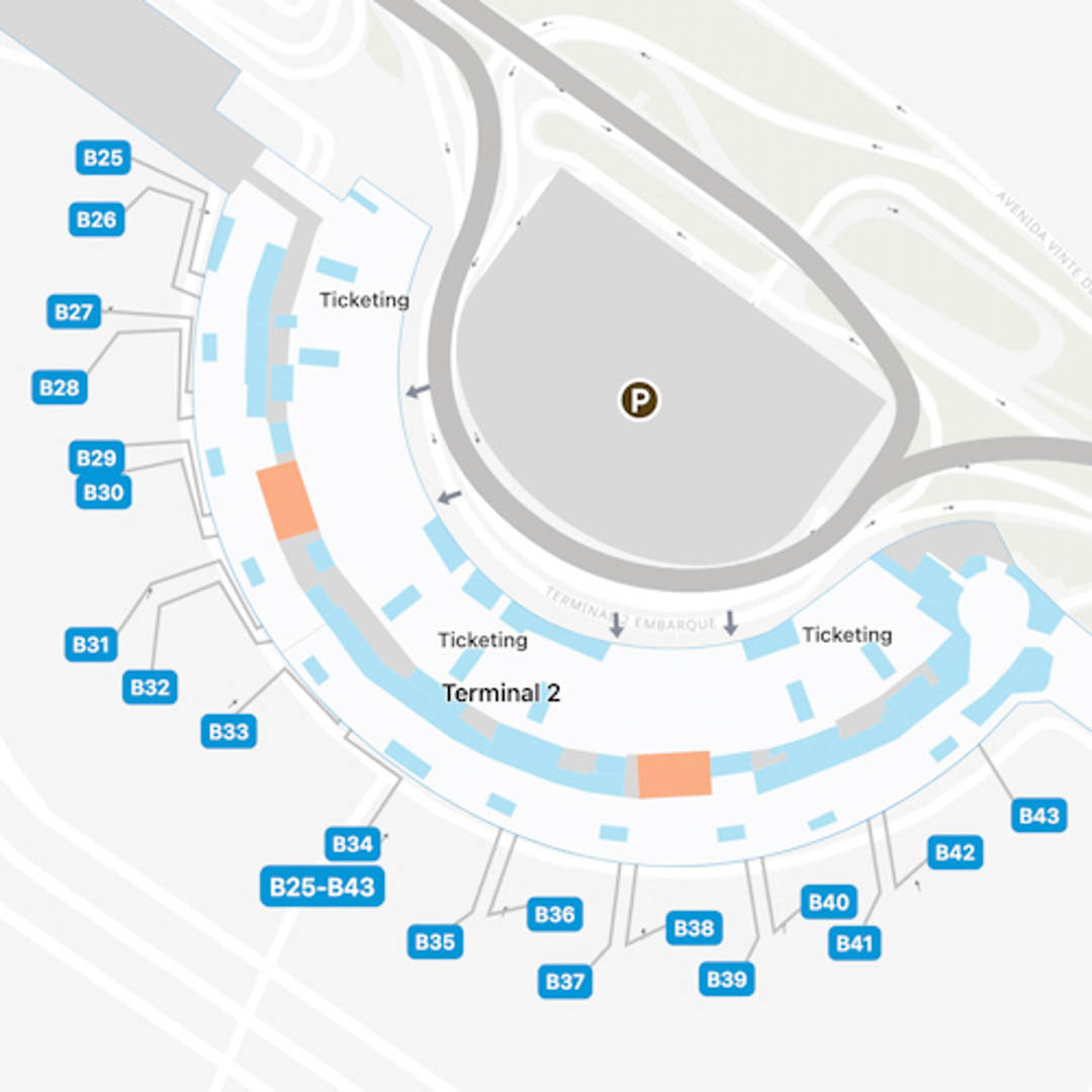 Rio de Janeiro Galeao Airport Map GIG Terminal Guide