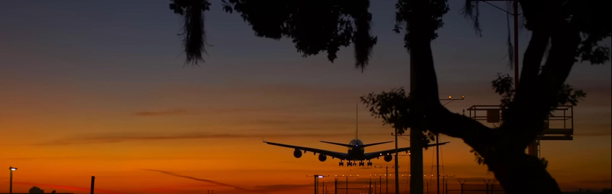 Flight landing at dusk looking through trees