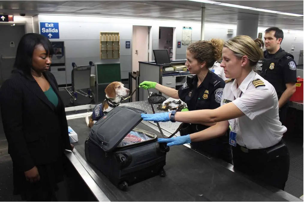 woman-with-dog-at-airport-security-screening