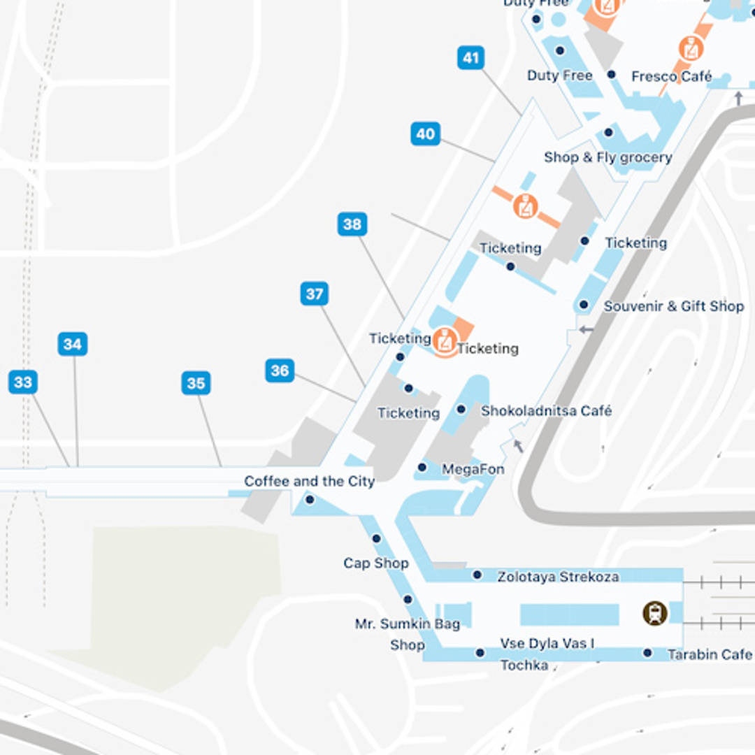 Moscow Sheremetyevo Airport Map 