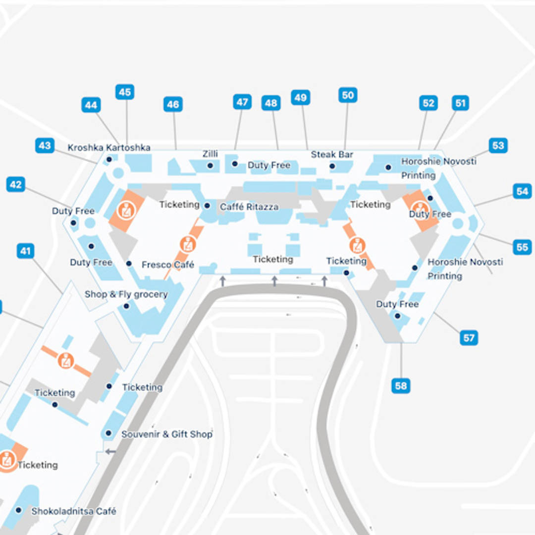 Moscow Sheremetyevo Airport Map: Guide To SVO's Terminals