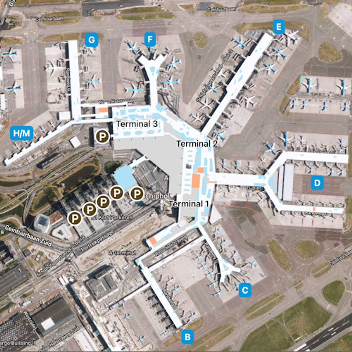 Amsterdam Airport Map: Guide to AMS's Terminals