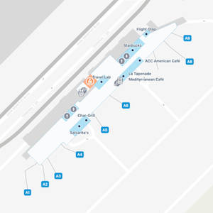 Raleigh-Durham Airport Terminal 1 Map & Guide