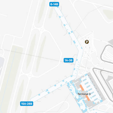 New Delhi Airport Intl Terminal Map & Guide