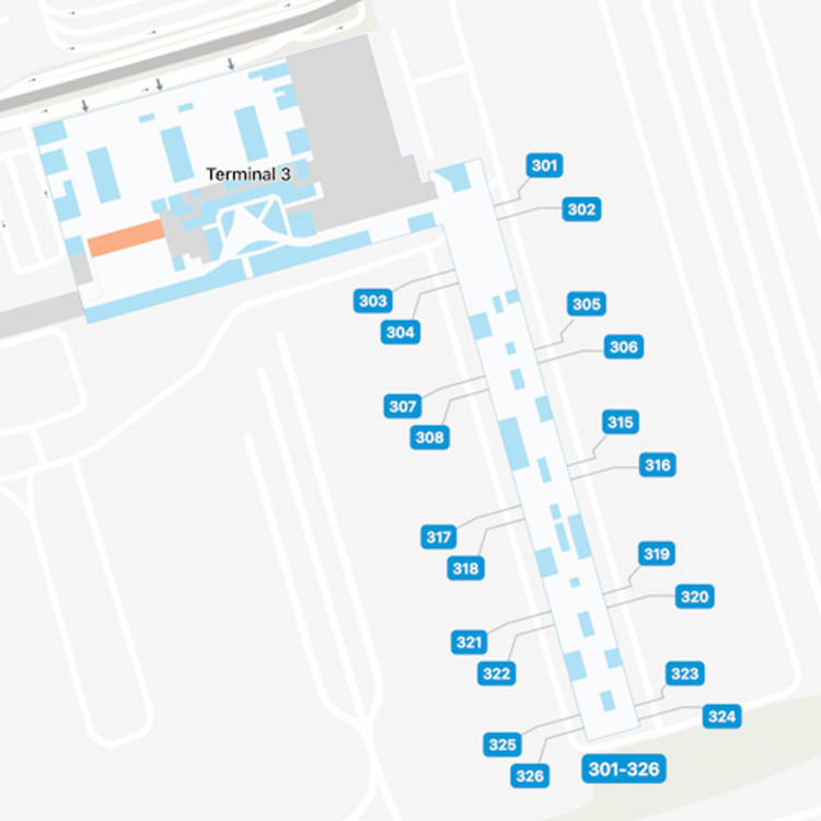 Sao Paulo Airport Terminal 3 Map & Guide